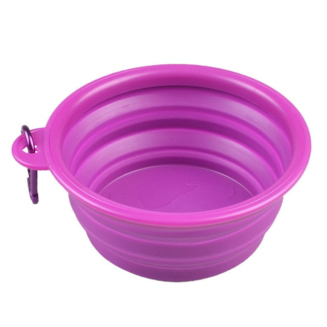 purple collapsible dog bowl