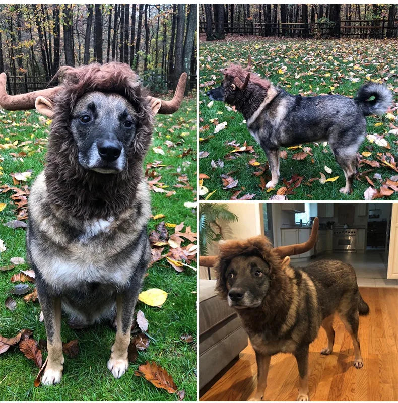 dogs wearing bull mane hat inside and out