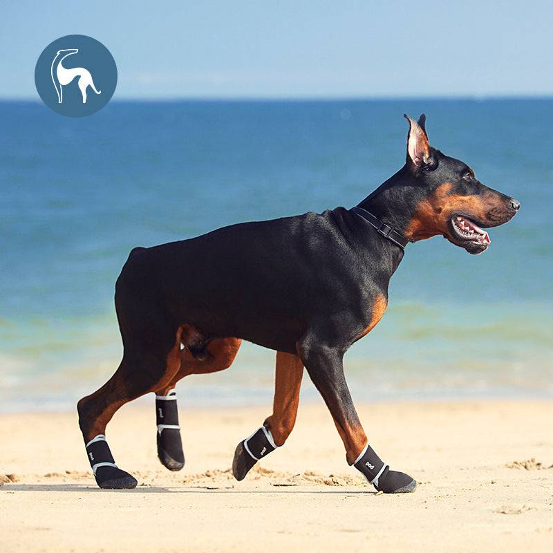 doberman walking pod dog shoes beach