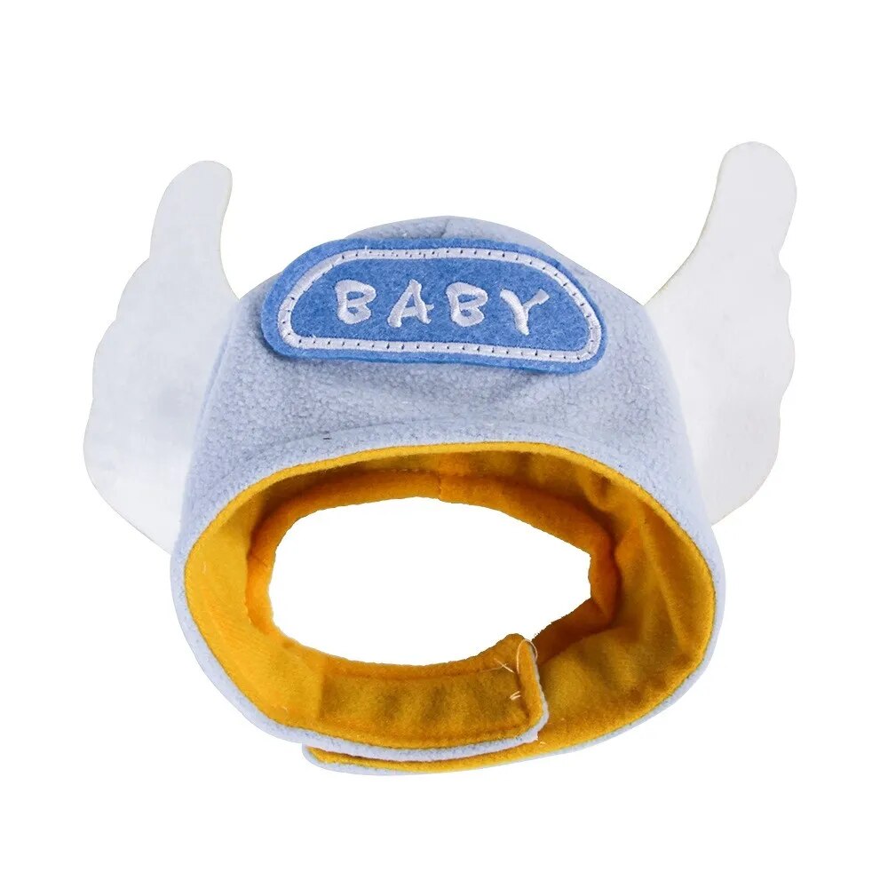 baby pet hat word baby white background