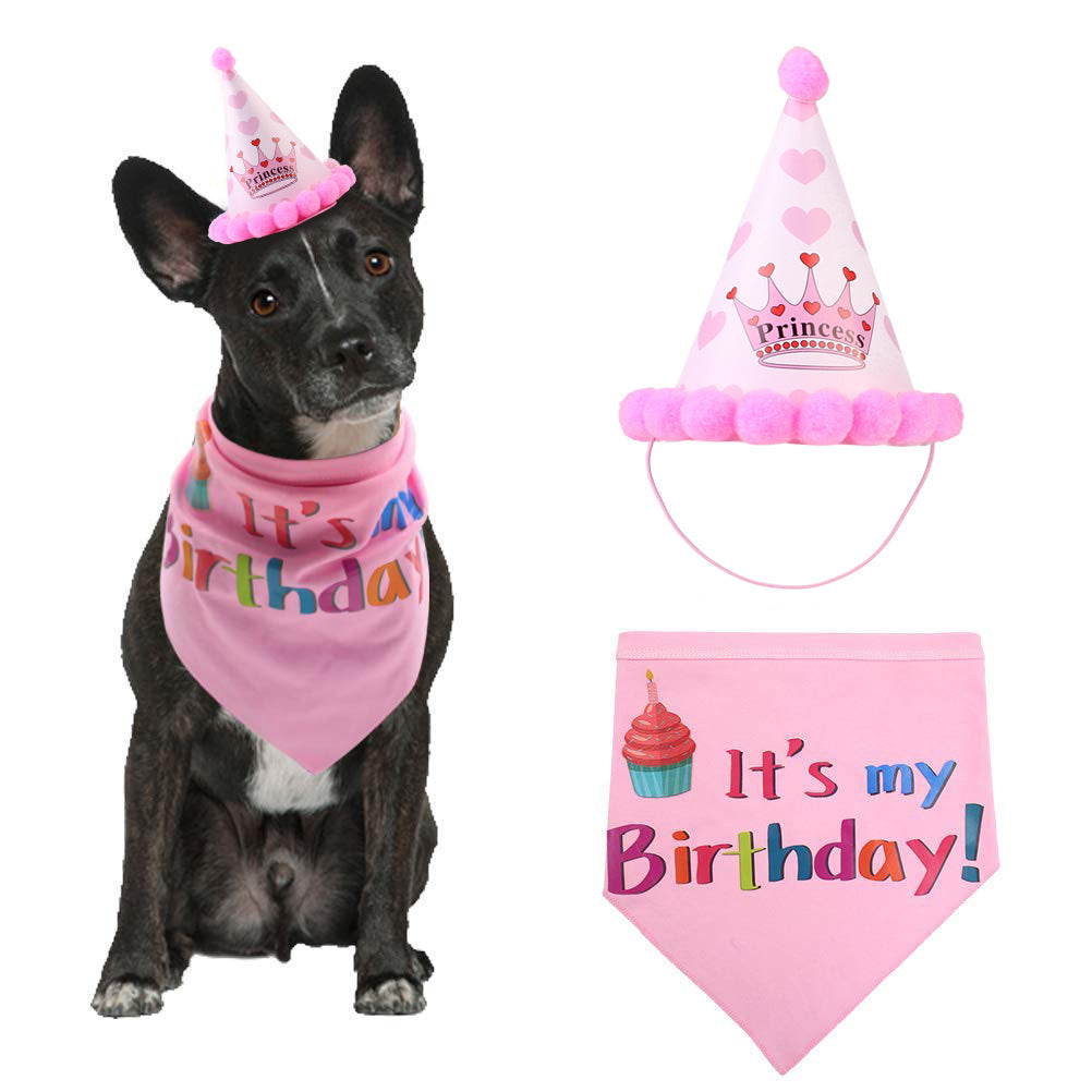 black dog wearing pink birthday bandanna and hat