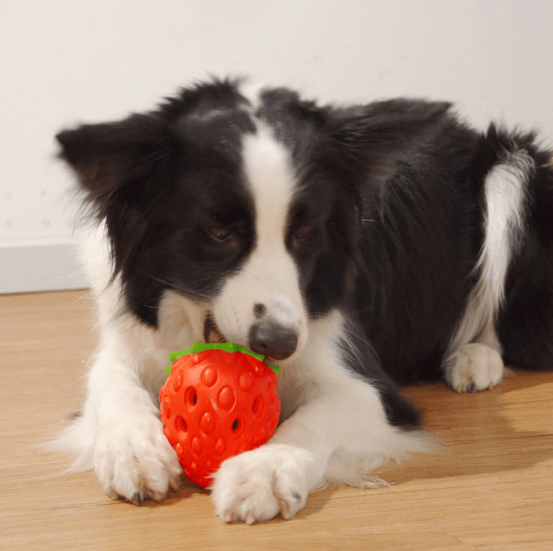 happy dog chewing strawberry toy