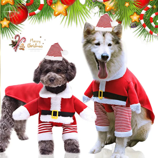 two dogs santa suits sweaters