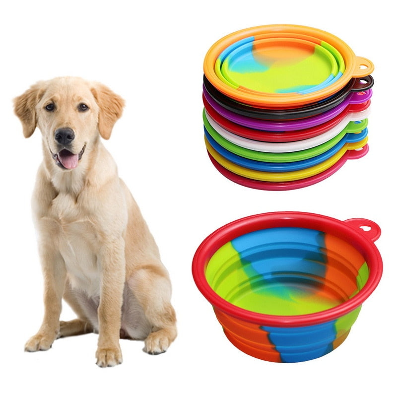 dog sitting collapsible bowl