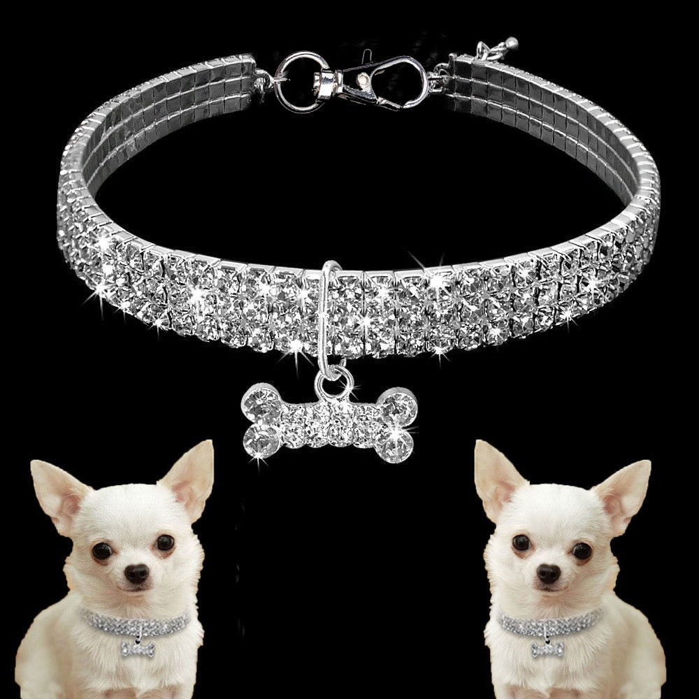 white crystal dog collar two small white dogs black background