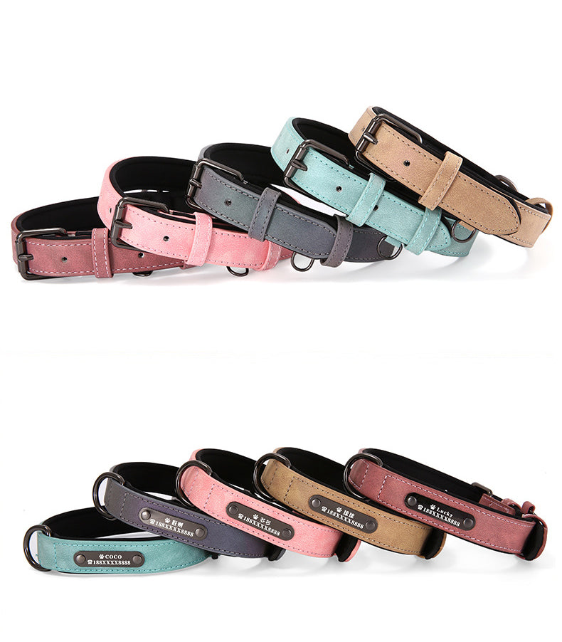 all colors dog collars