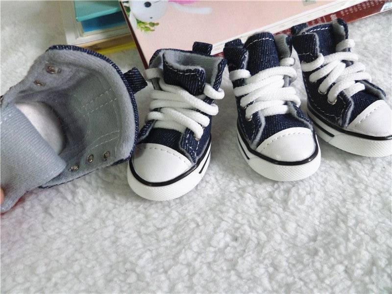 dog denim sneakers blue white laces on carpet floor