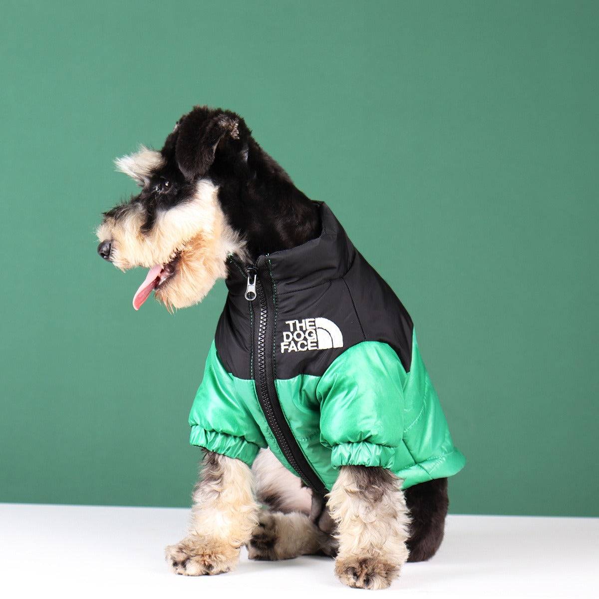 green dog face puffy winter jacket schnauzer left facing 