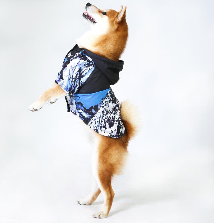 dog face coat on shibu inu standing