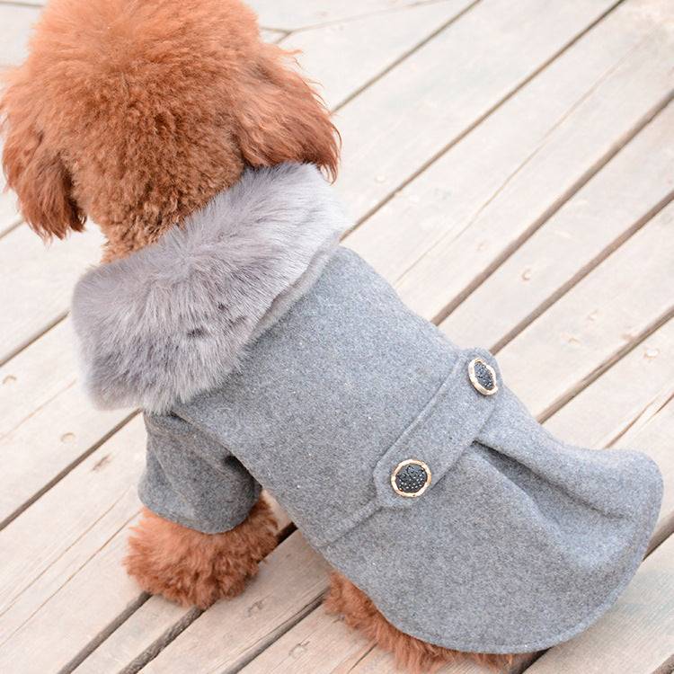 little dog grey fur hooded winter coat deck