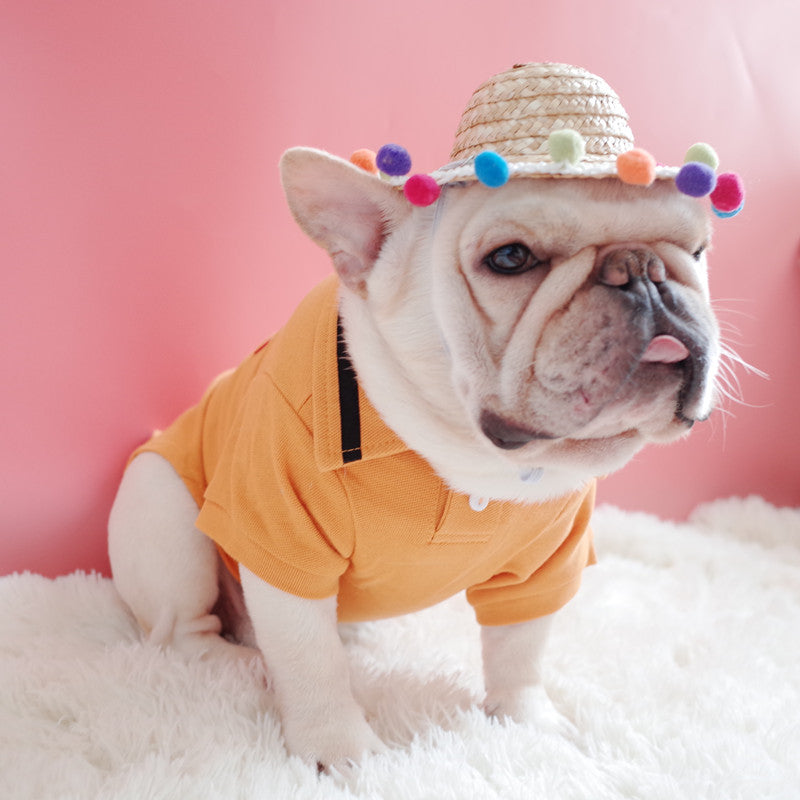 small dog yellow shirt braided sun hat colorful balls pink background