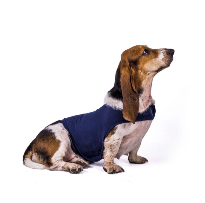 dog laying down wearing anxiety coat