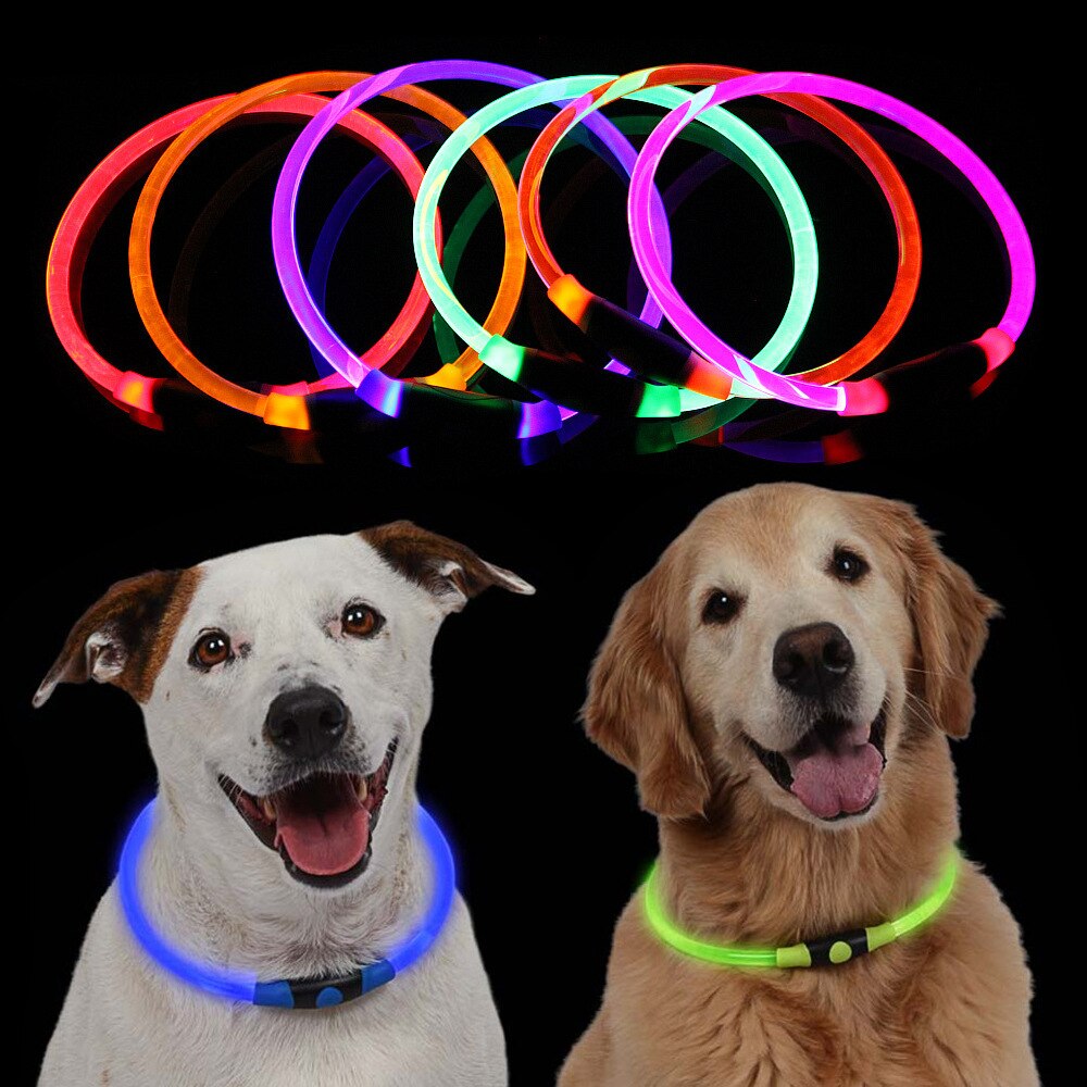 variety colors of glowing dog collars two dogs wearing them