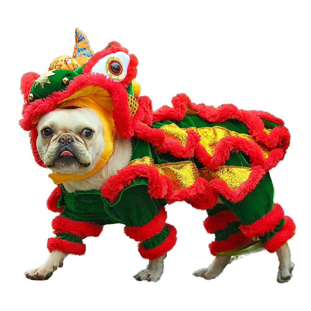 chinese new year dragon costume dog walking