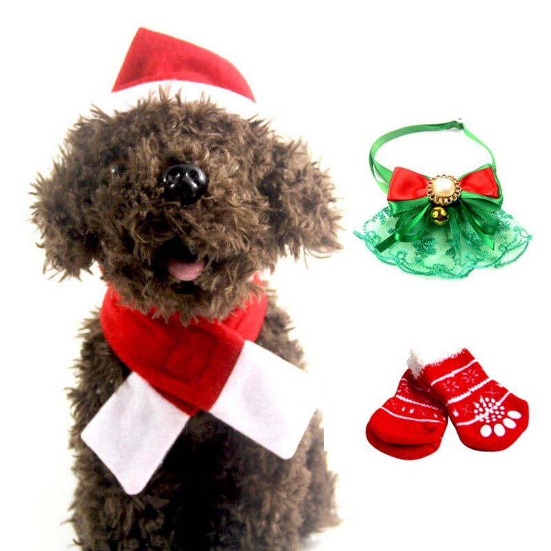 dog scarf hat red green for winter