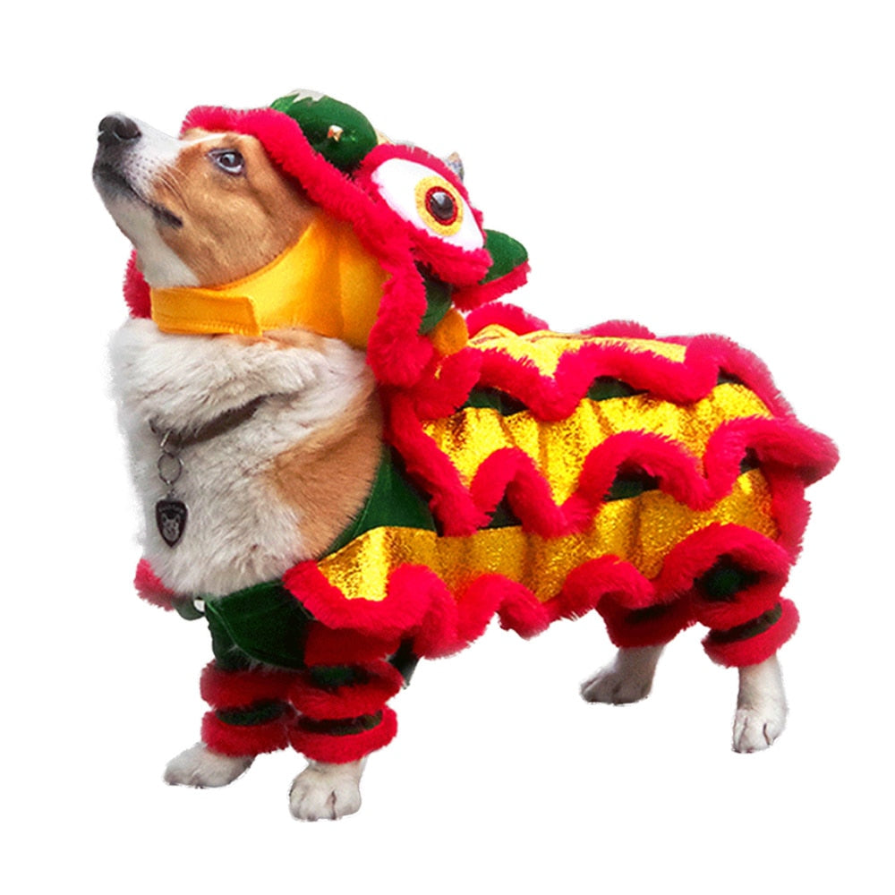 dog dragon new years costume