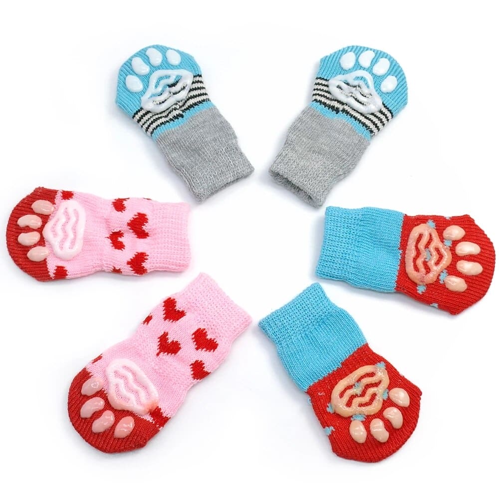 variety dog socks laid in circle white background