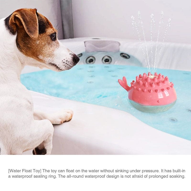 dog watching floating squirt toy in bath