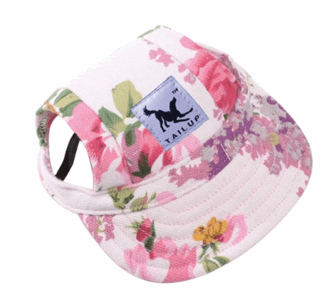 flower pink petals dog sun visor