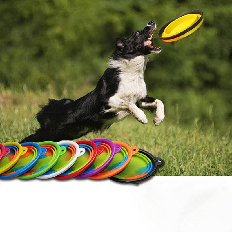 dog catching Frisbee dog bowl