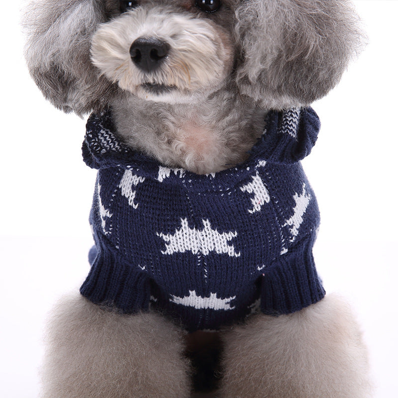 blue dog sweater white stars closeup front