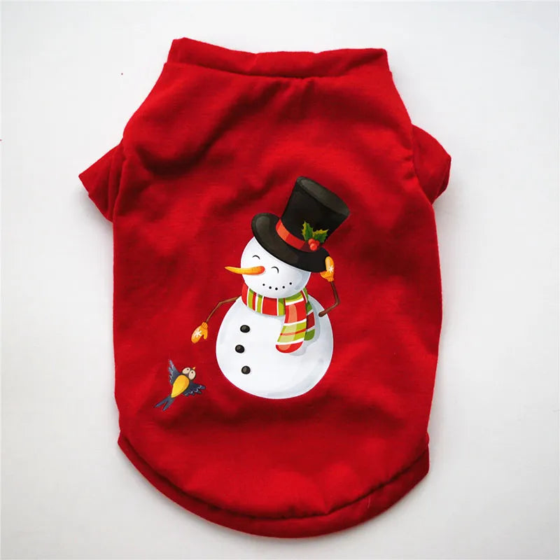 red frosty print dog sweater white background