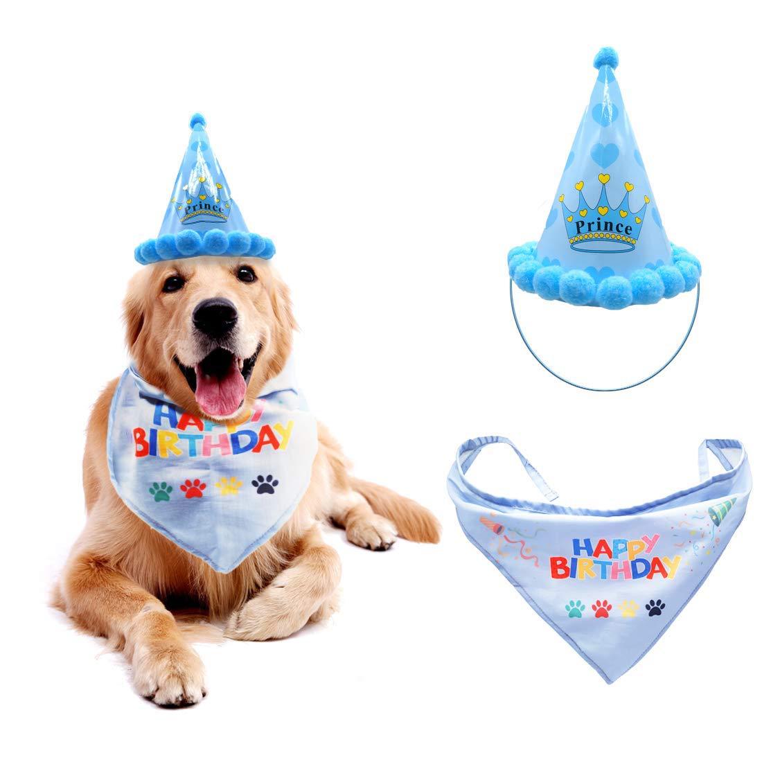 golden retriever with blue birthday banner and hat white background