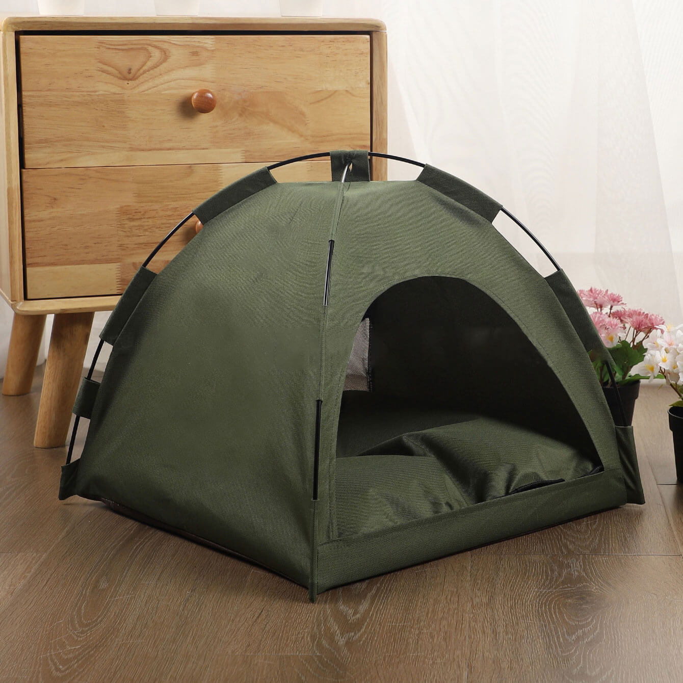 green cat pet tent wood floor