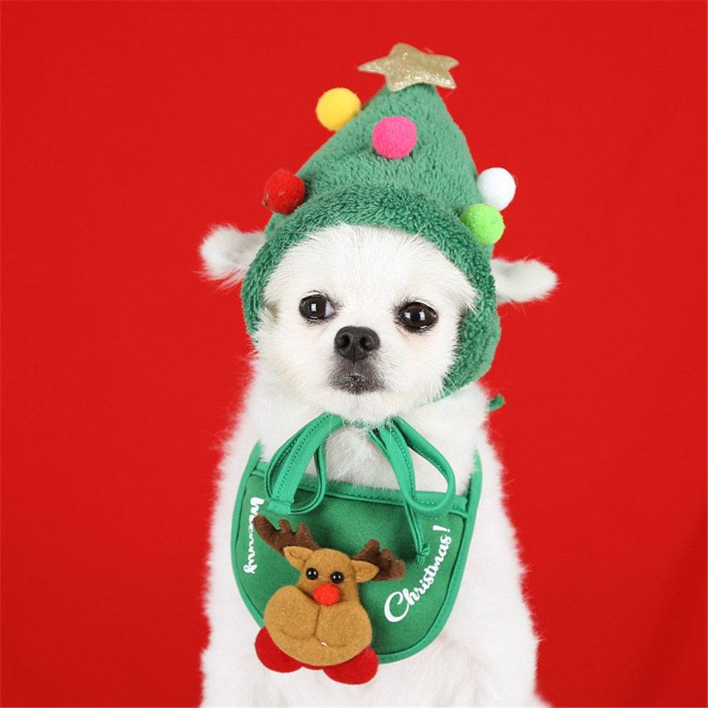 small dog green christmas hat elk bib red background