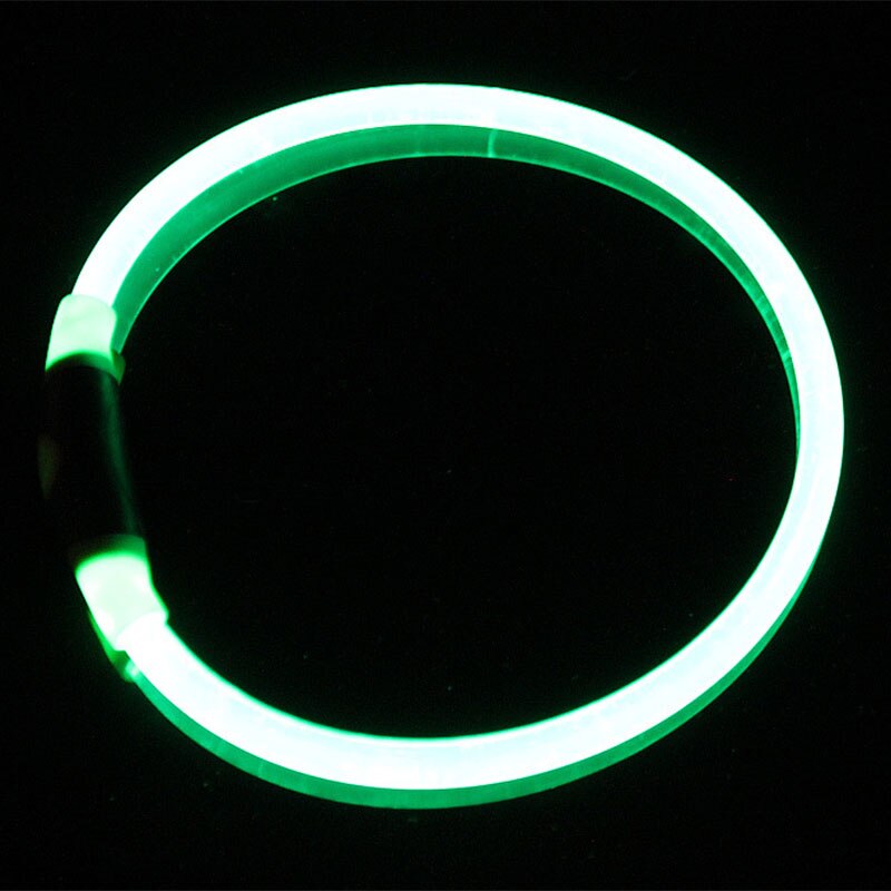 green light up glow dog collar black background