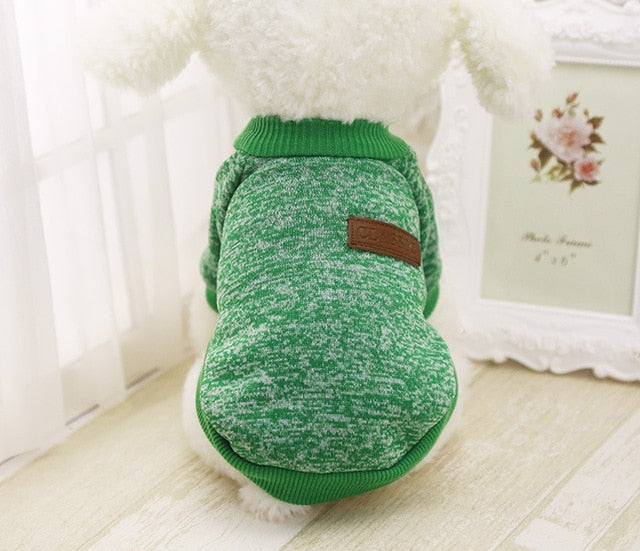 green winter dog sweater white sitting dog