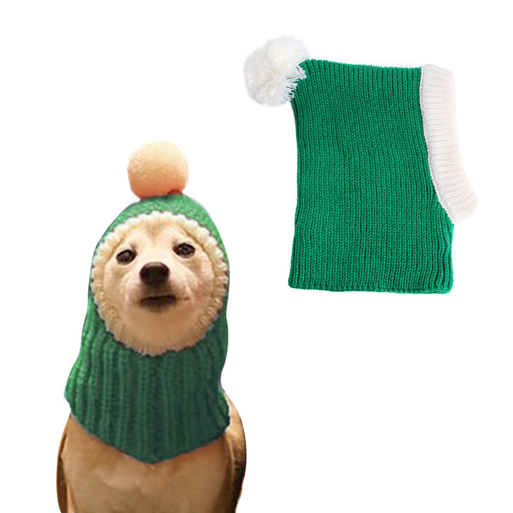 little dog green pullover stocking white ball white background