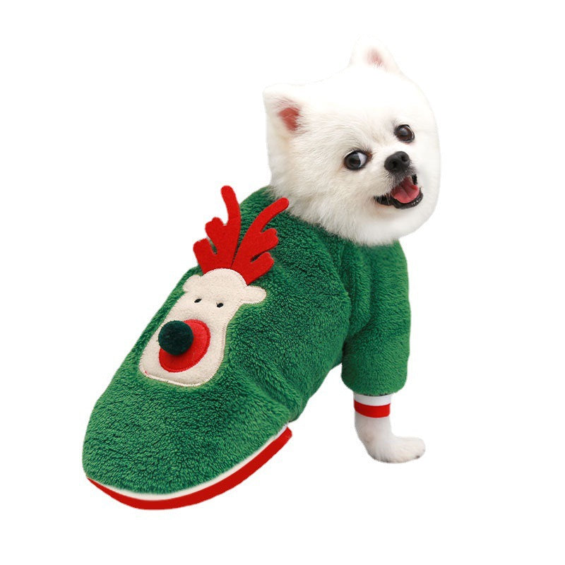 small white dog green reindeer sweater