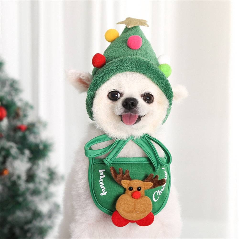 small dog green christmas hat and bib outfit