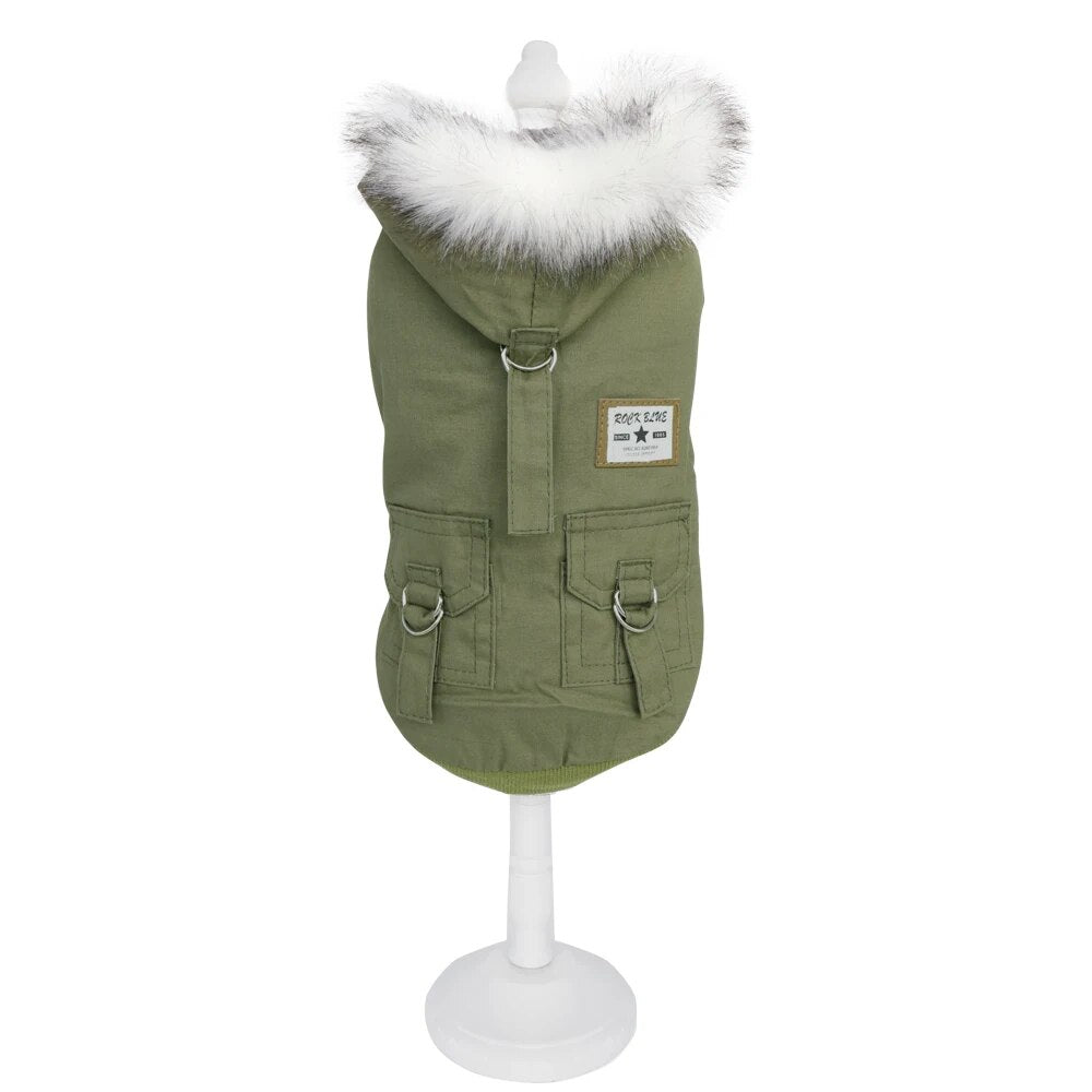 green hooded winter dog coat straps white background