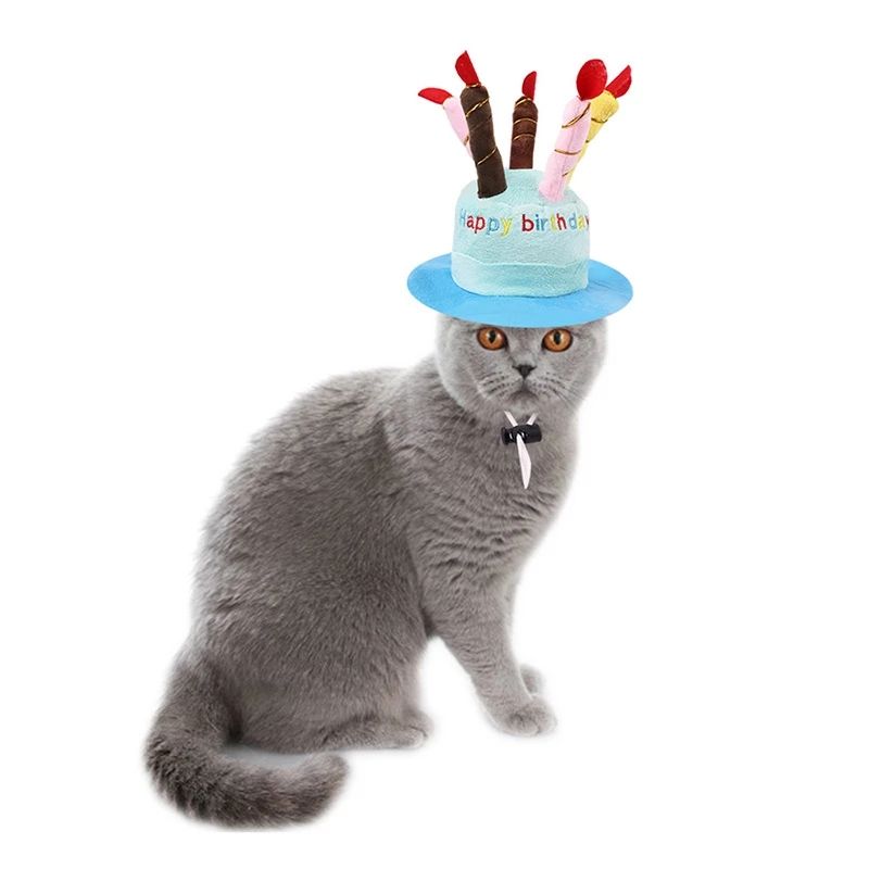 grey cat wearing a birthday cake candle hat with white background