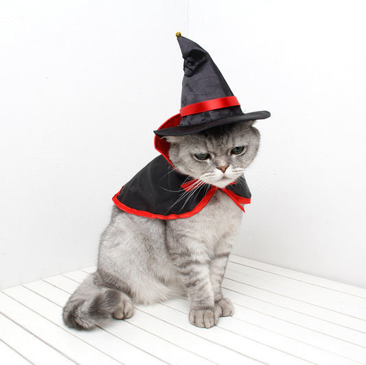 grey cat black cloak and hat