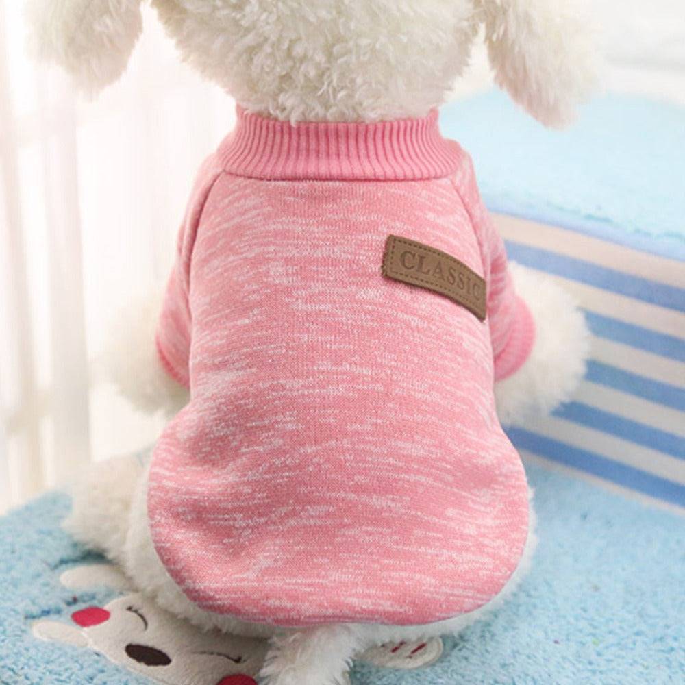 light pink red dog sweater sitting white dog