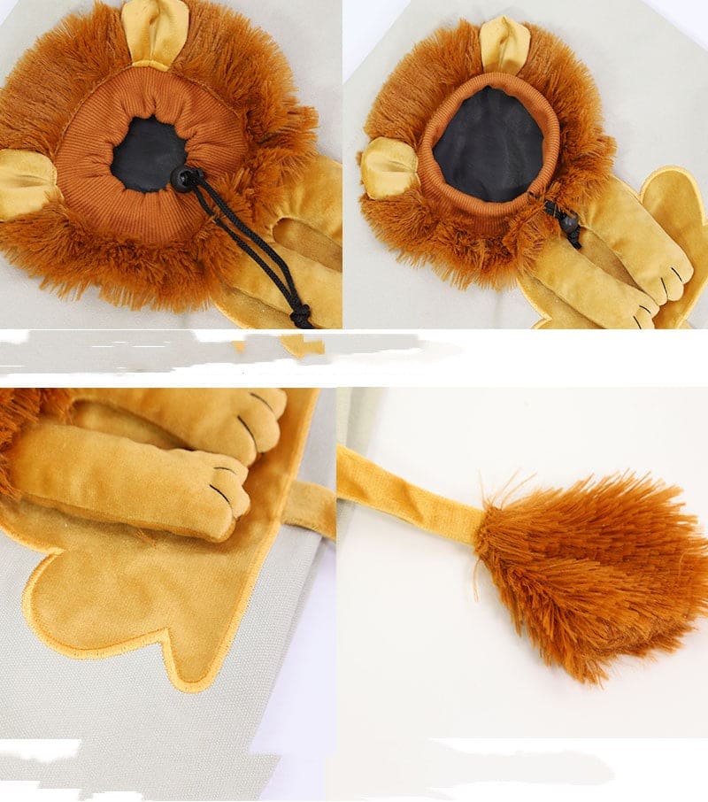 lion outfit dog bag closeup