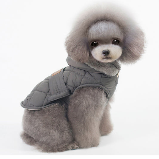 little dog in grey cotton coat white background