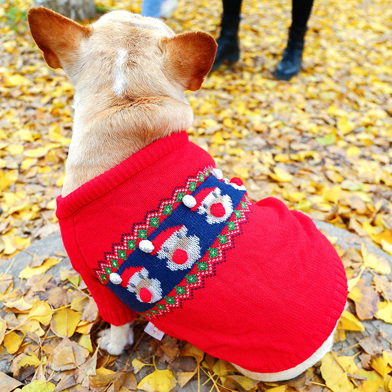 little dog red santa print banner sweater leafs around