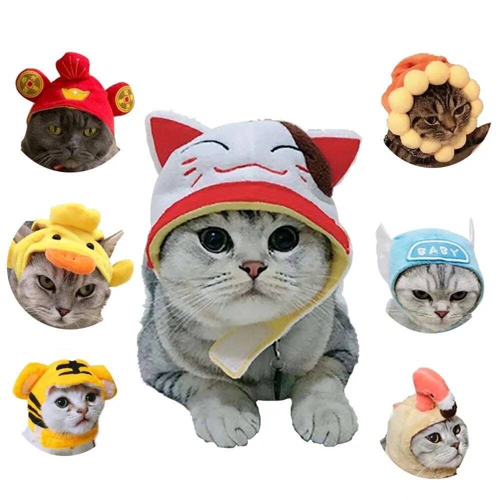 lots cats different funny hats