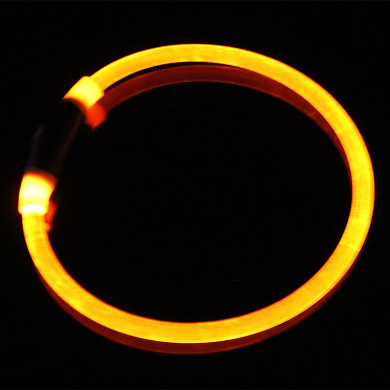 orange light up dog collar black background