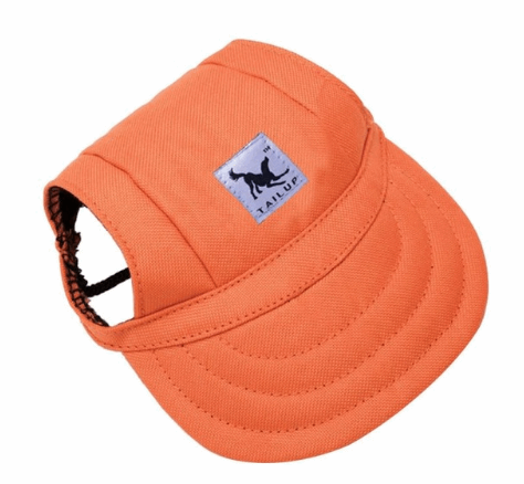 orange canvas dog visor