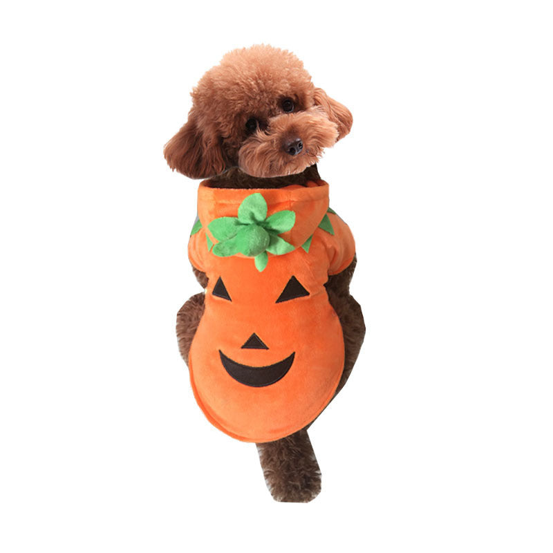 smiling pumpkin orange dog costume