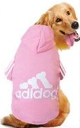 pink adidog sweater on lab