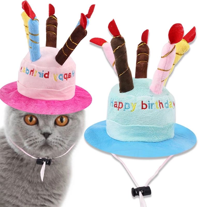 Birthday hat with candles in blue and pink for dog or cat