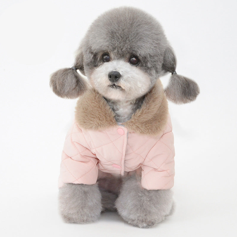 pink sweater small grey dog