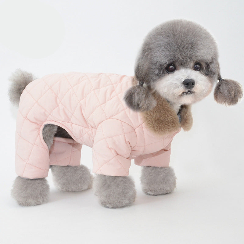 pink dog sweater dog standing