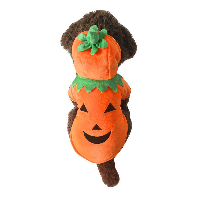 backside small dog orange pumpkin costume